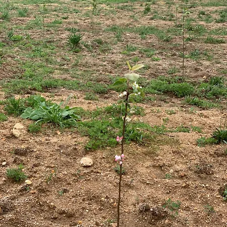 Casa Hortensias Holiday home *